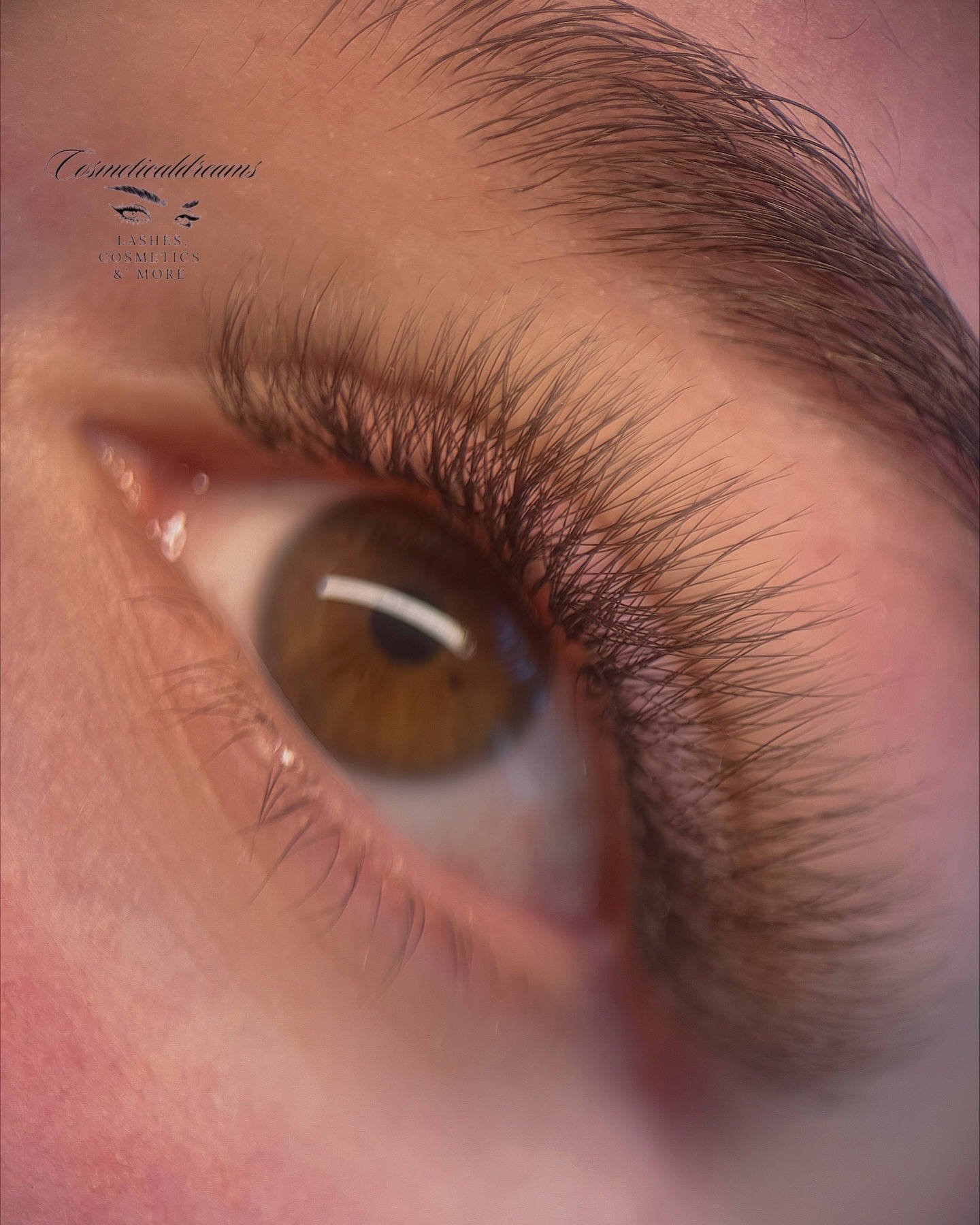 Cosmetical Dreams – Eindruck 2